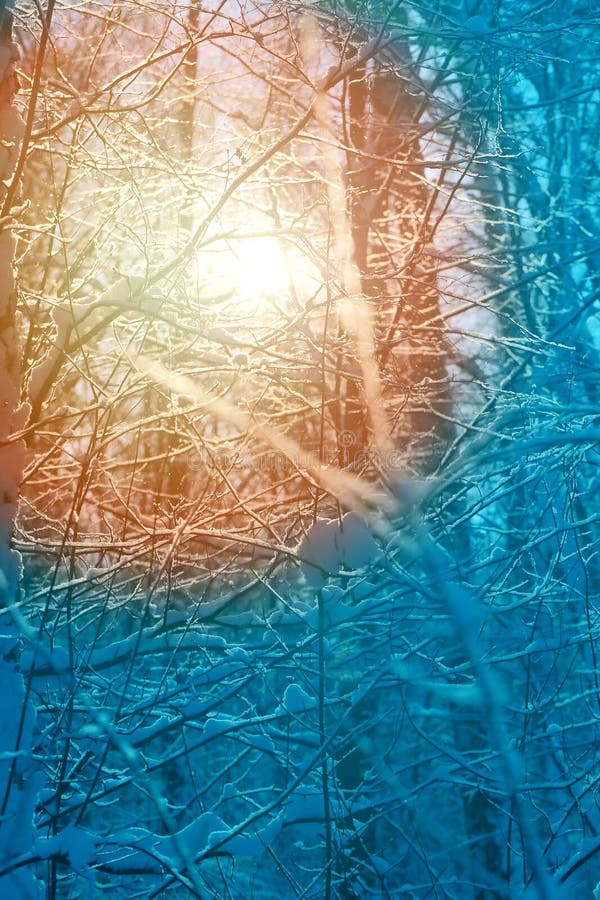 Le soleil lumineux de coucher du soleil image libre de droits Le soleil lumineux de coucher du soleil image libre de droits