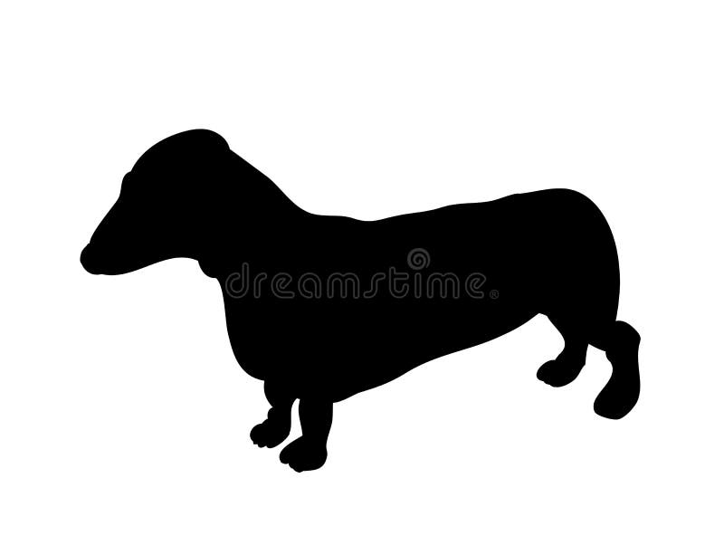 Le teckel se tient, poursuit, silhouette, dirige illustration libre de droits Le teckel se tient, poursuit, silhouette, dirige illustration libre de droits