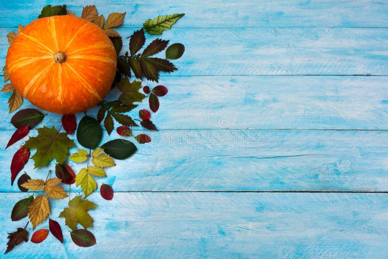 Le thanksgiving heureux avec la chute part sur le fond bleu image libre de droits Le thanksgiving heureux avec la chute part sur le fond bleu image libre de droits