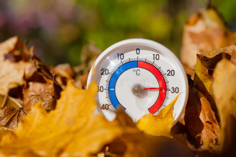 Le thermomètre extérieur dans des feuilles d'or d'érable montre le temperatur chaud image stock Le thermomètre extérieur dans des feuilles d'or d'érable montre le temperatur chaud image stock