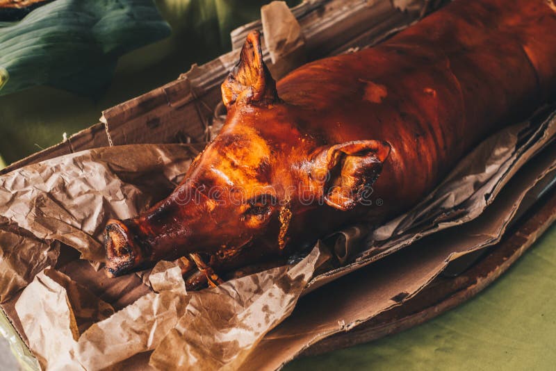 Le tir principal nouvellement de la livrer et déroulé tout le favori de temps, le porc croustillant rôti populaire ou Lechon Babo photographie stock libre de droits Le tir principal nouvellement de la livrer et déroulé tout le favori de temps, le porc croustillant rôti populaire ou Lechon Babo photographie stock libre de droits