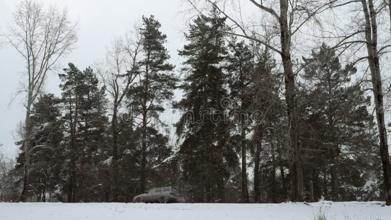 Le trafic conduisant le long de l'autoroute pendant la tempête de chute de neige importante