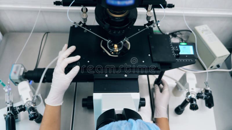 Le travailleur du laboratoire règle le microscope pendant la recherche