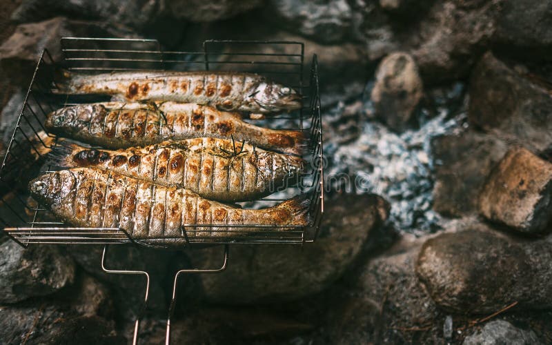 Le trote cucinate fresche sono nella griglia arrostita fotografie stock libere da diritti