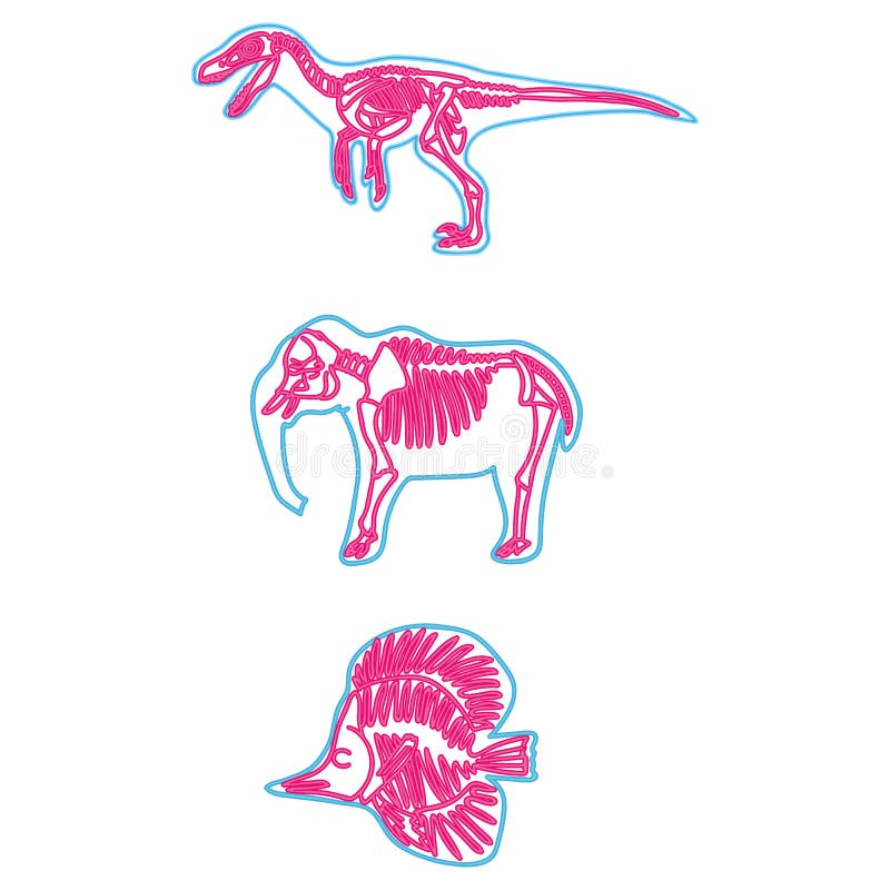 Le Velociraptor, éléphant, poisson dirigent l'illustration squelettique au néon Ensemble fossile de motif de bande dessinée illustration de vecteur Le Velociraptor, éléphant, poisson dirigent l'illustration squelettique au néon Ensemble fossile de motif de bande dessinée illustration de vecteur
