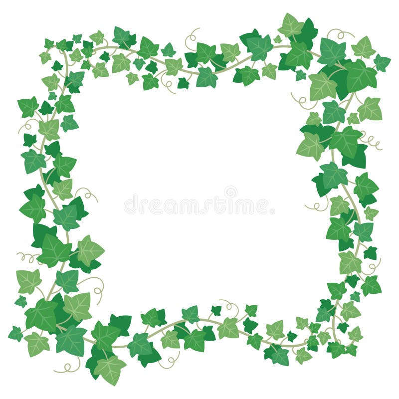 Le vert de lierre de vigne laisse le cadre Frontière rectangulaire s'élevante de verdure d'usine Vecteur d'isolement par feuille illustration libre de droits Le vert de lierre de vigne laisse le cadre Frontière rectangulaire s'élevante de verdure d'usine Vecteur d'isolement par feuille illustration libre de droits