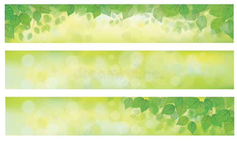 Le vert de vecteur laisse des bannières illustration de vecteur Le vert de vecteur laisse des bannières illustration de vecteur