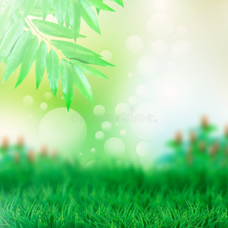 Le vert laisse à jardin le fond abstrait image stock