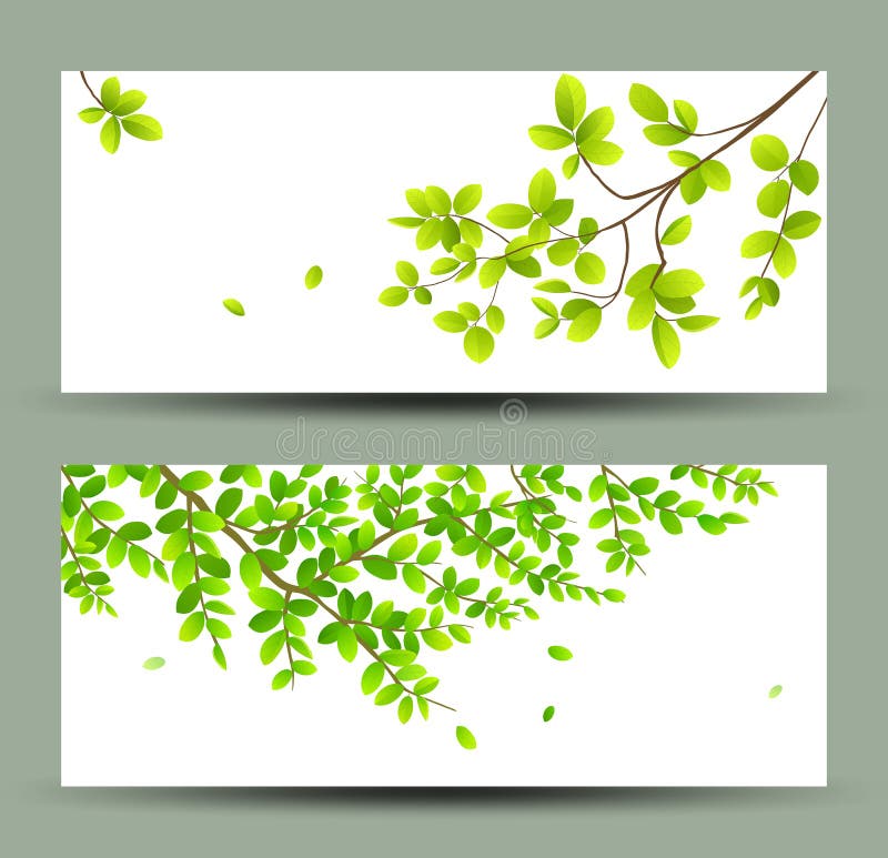 Le vert tropical laisse des collections de bannières illustration libre de droits Le vert tropical laisse des collections de bannières illustration libre de droits