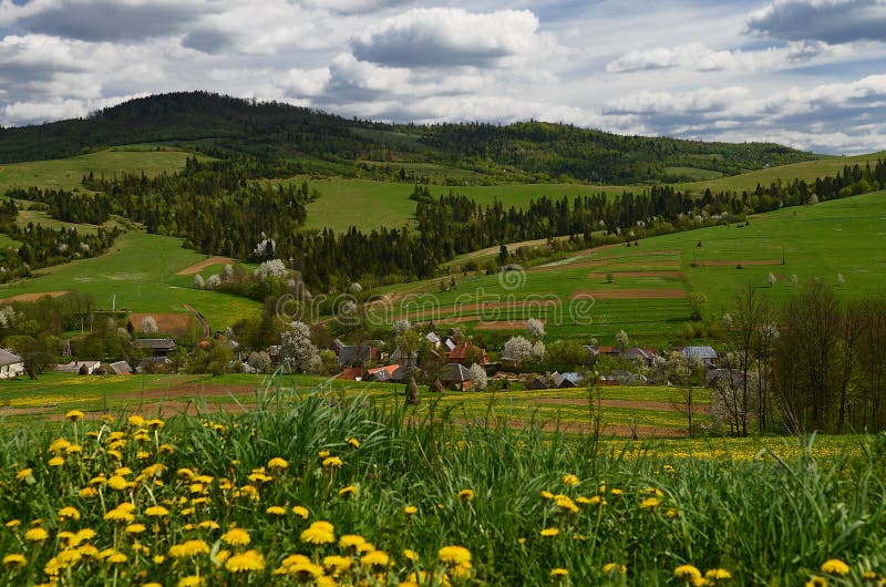 Le village ukrainien montagneux pittoresque est entouré par des fleurs de ressort photos stock Le village ukrainien montagneux pittoresque est entouré par des fleurs de ressort photos stock