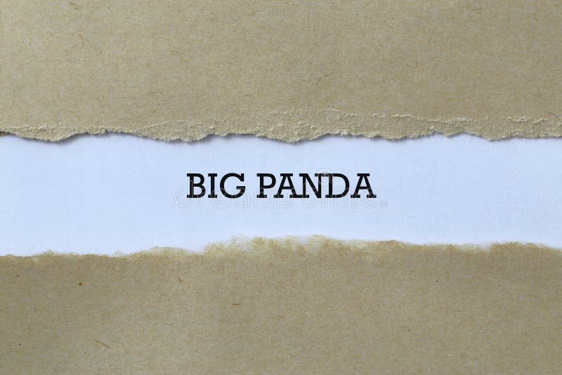 Big panda on paper