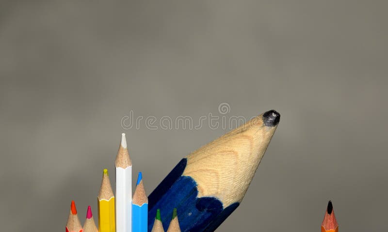 The Lead and Wooden Casing of a Large Pencil