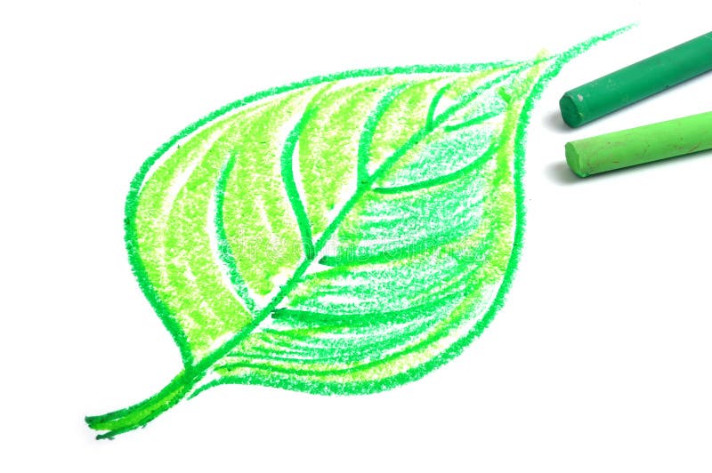 Leaf royalty free stock photos