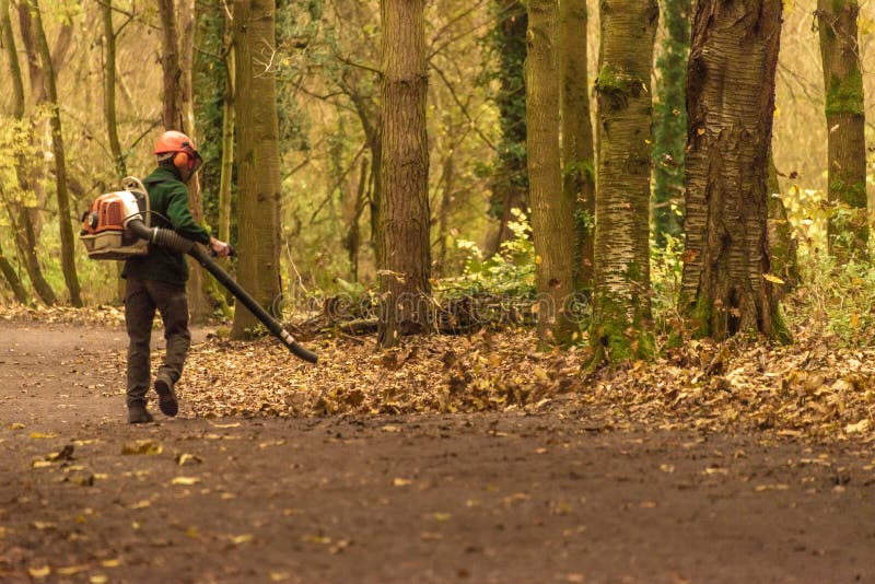 Leaf Blower Cleaning Leaves Autumn Stock Photo Image of leaves