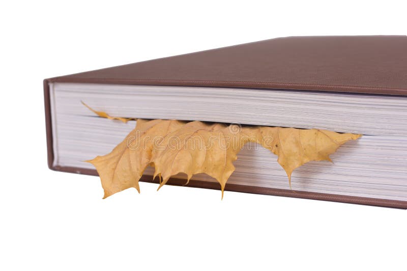 Leaf bookmark