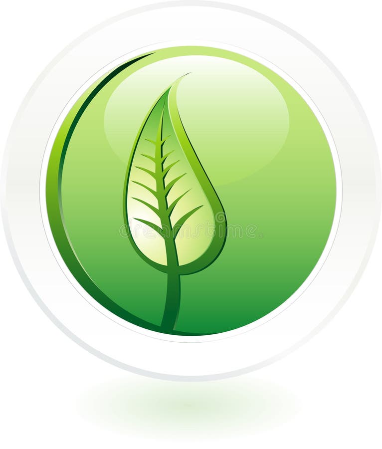 Leaf button vector illustration