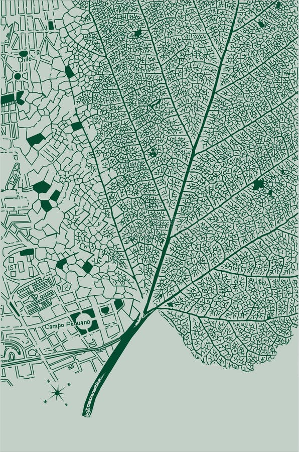 Leaf and city
