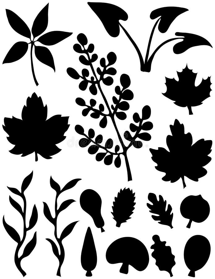 Leaf Elements Abstract Shapes Stock Vector Illustration of