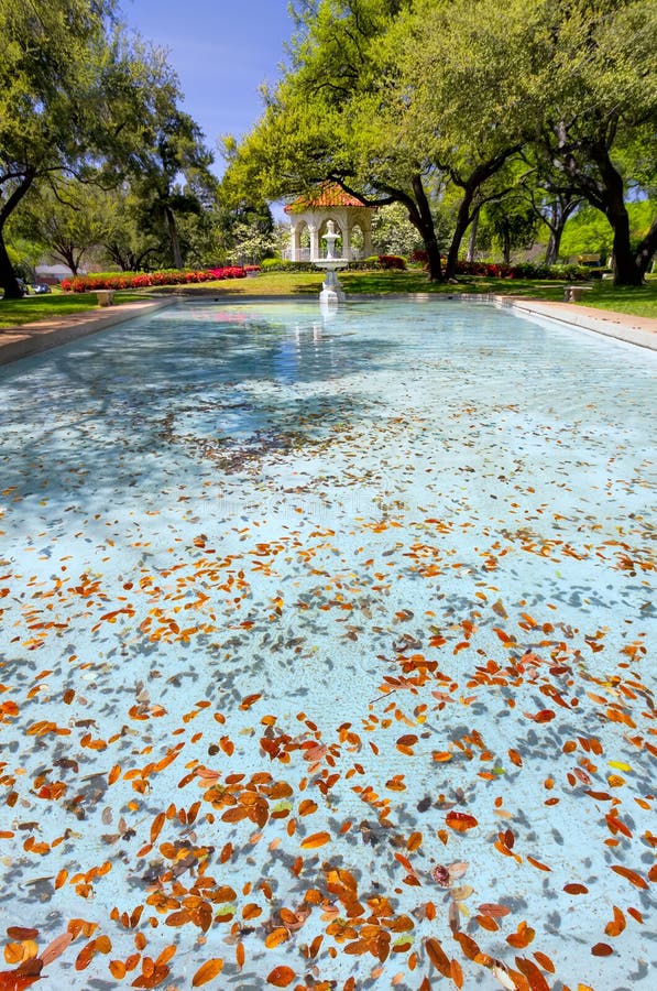 Flippen Park in Dallas, TX royalty free stock image