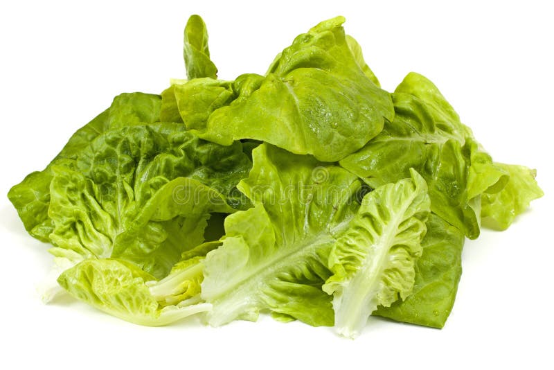 Leaf fresh lettuce stock image. Image of vegetarian, health 24546595