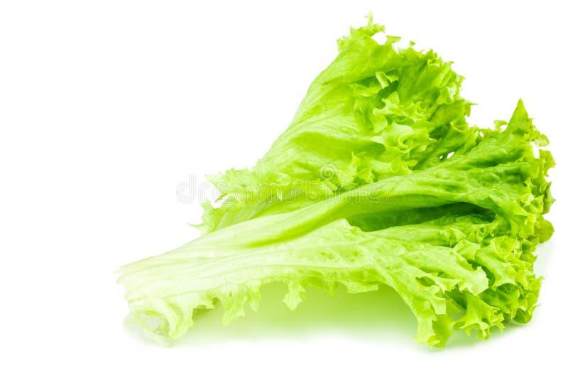 Fresh cale lettuce leaf on a white isolated background. Vegetarian and  dietary healthy food product Stock Photo - Alamy