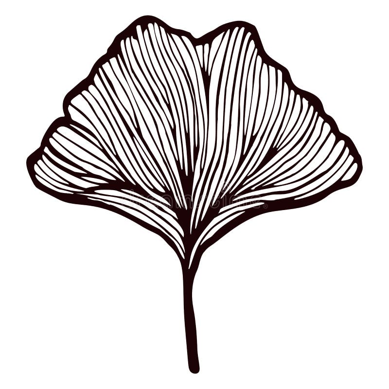 Ginkgo leaves spine tattoo.