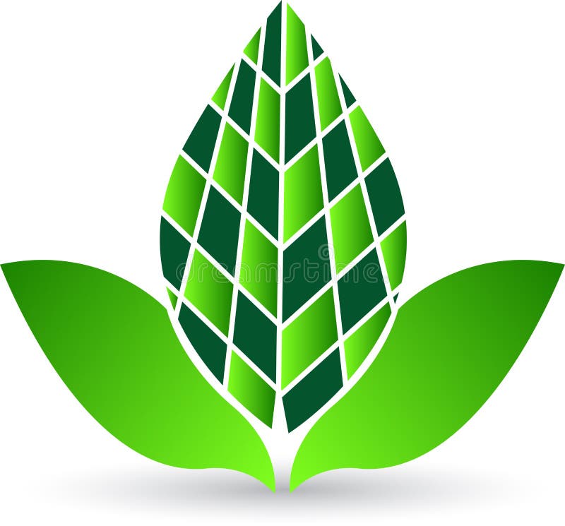 Leaf home vector illustration