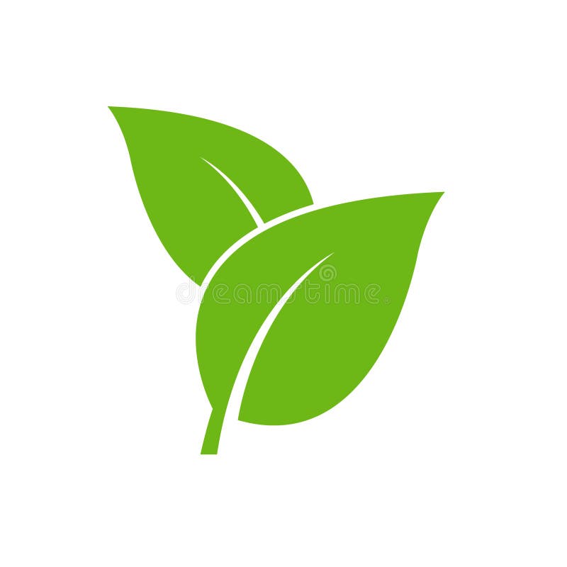 Green Leaf Icon Vector Illustration Stock Vector Illustration of