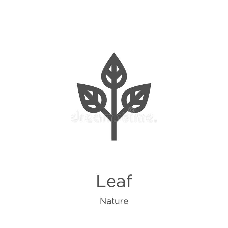 Leaf icon vector from nature collection. Thin line leaf outline icon vector illustration. Outline, thin line leaf icon for website. leaf icon. Element of nature collection for mobile concept and web apps icon. Outline, thin line leaf icon for website design and mobile, app development