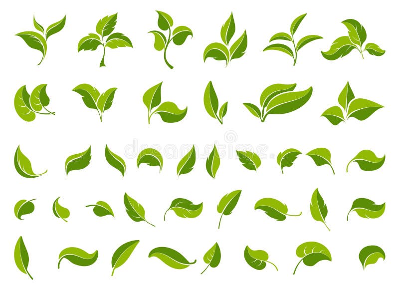 Leaf-Icons-Set Designelemente für grüne Blätter Verschiedene Formen Blätter Bäume und Pflanzen vektor abbildung