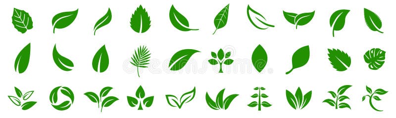 Leaf icons set ecology nature element, green leafs, environment and nature eco sign. Leaves on white background