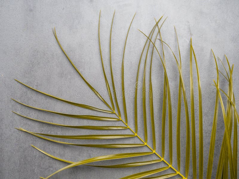 Leaf pattern. Gold color tropical leaves on gray background. Summer concept. Flat lay stock photography Leaf pattern. Gold color tropical leaves on gray background. Summer concept. Flat lay stock photography