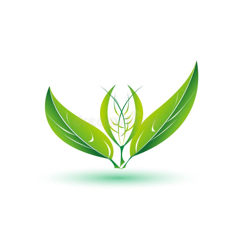 Leaf, plant, logo, ecology, people, wellness, green, leaves nature symbol icon vector designs stock illustration Leaf, plant, logo, ecology, people, wellness, green, leaves nature symbol icon vector designs stock illustration