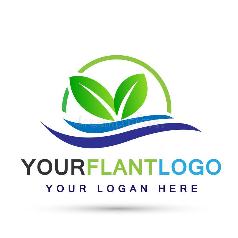 Leaf plant logo ecology sea waves wellness green leaves nature people symbol icon vector designs on white background royalty free illustration Leaf plant logo ecology sea waves wellness green leaves nature people symbol icon vector designs on white background royalty free illustration