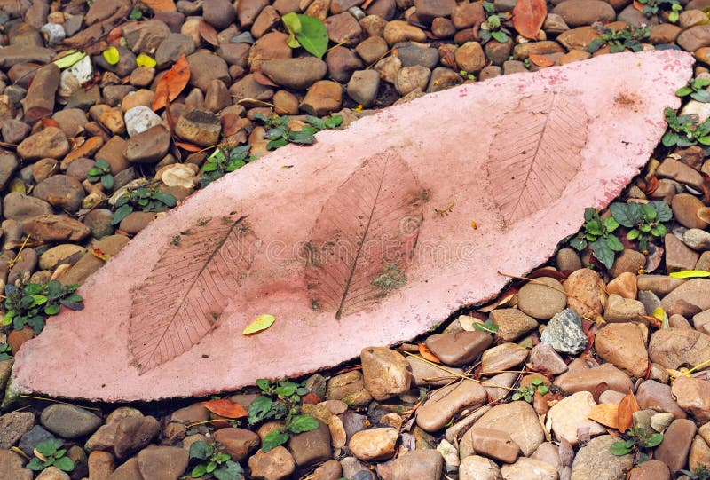 Leaf Print on Natural Style Cement Texture Stock Photo - Image of floor