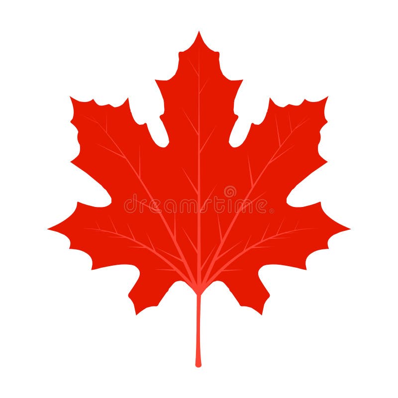 Leaf Red Maple Maple Vector Canada Icon. Leaf Maple Illustration. Leaf