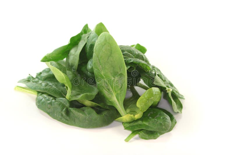 Leaf spinach stock image. Image of spinach, green, soup - 19564469