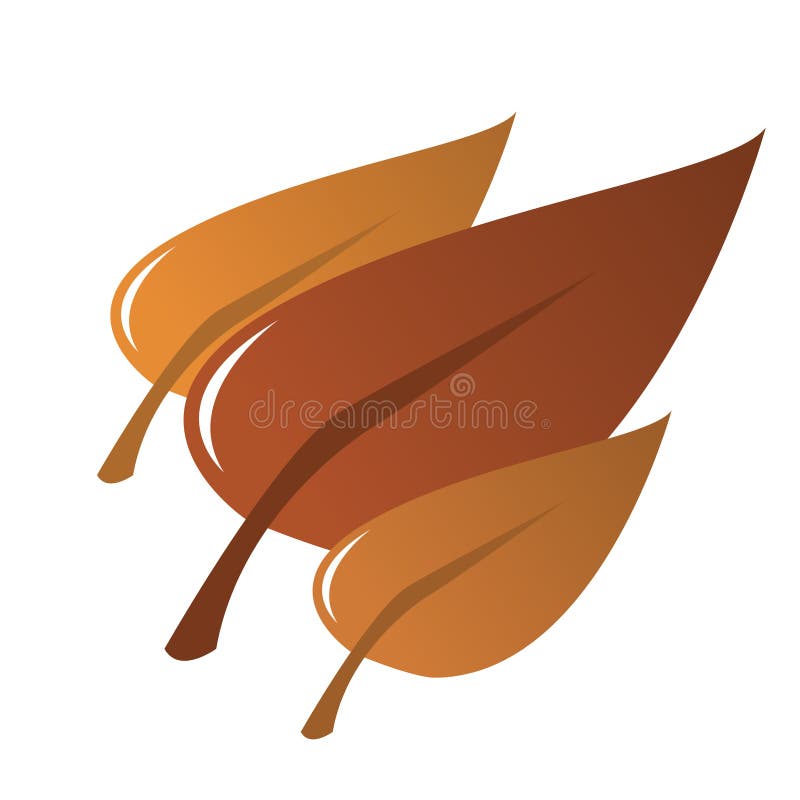 Leaf stock illustration