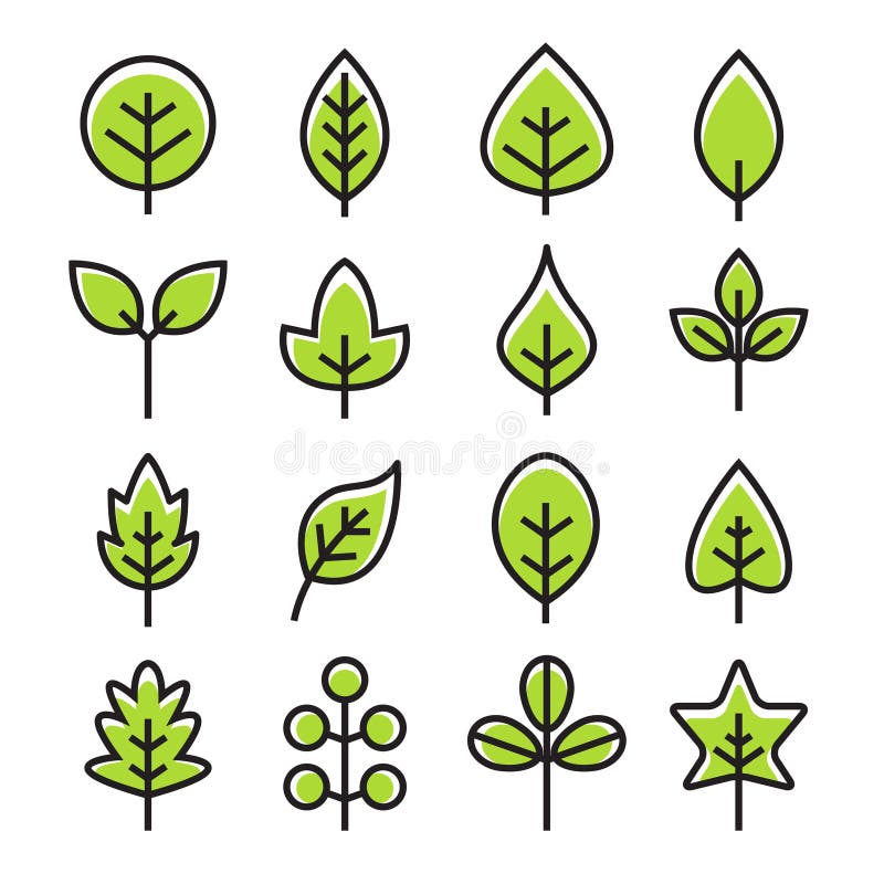 Leaf vector design line icon. Green line leaf plant outline symbol nature