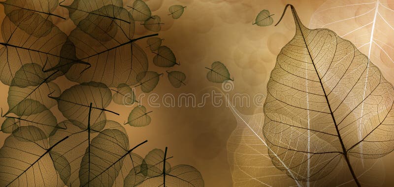 Leaves with veins and cells royalty free illustration