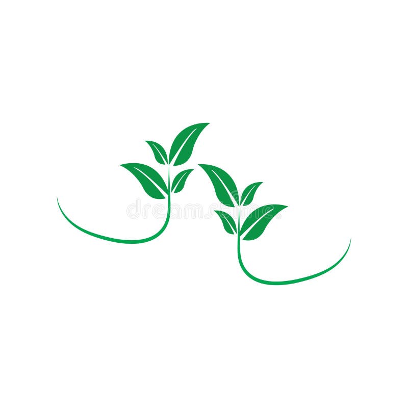 Leafe logo