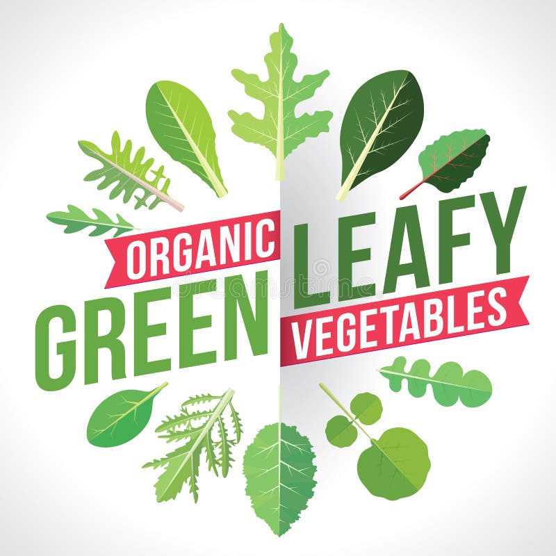 Leafy Greens Template Background, Isolated Herbs and Vegetables Stock