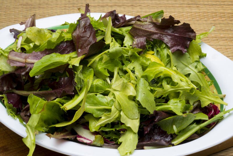 Leafy Salad in a White Bowl Stock Photo Image of green, lettuce 89711736