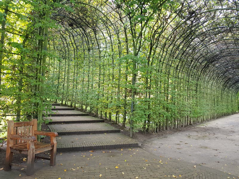 Leafy Trellis Tunnel at Alnwick Gardens Editorial Stock Image Image