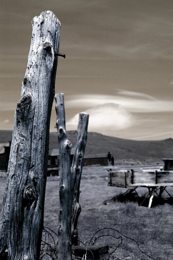 Reminents of three fence posts still remain firmly planted in the ground after a decade of weathering. slight grain is visiable in some areas. Reminents of three fence posts still remain firmly planted in the ground after a decade of weathering. slight grain is visiable in some areas.