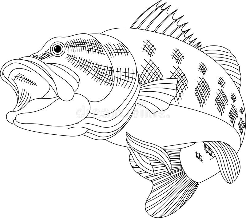 Leaping Bass stock illustration