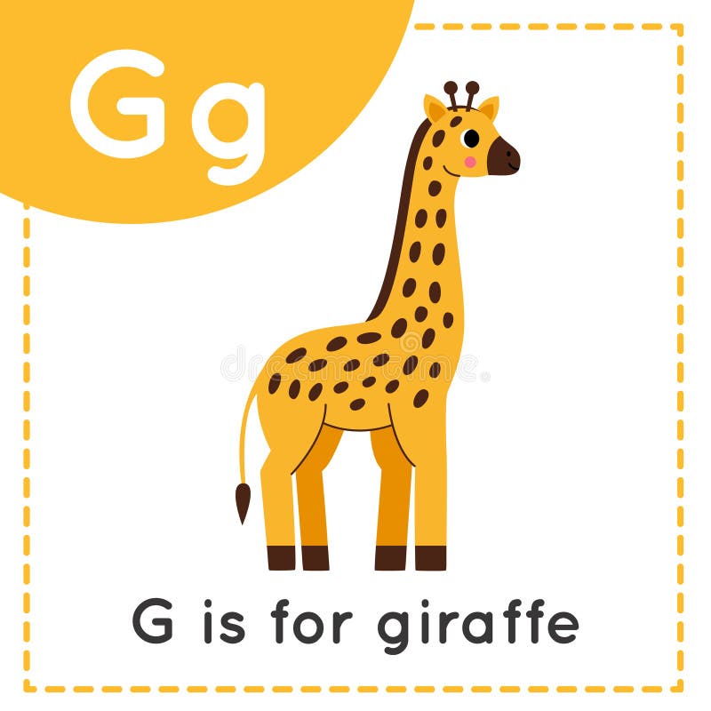 Giraffe Flashcard Stock Illustrations – 130 Giraffe Flashcard Stock ...