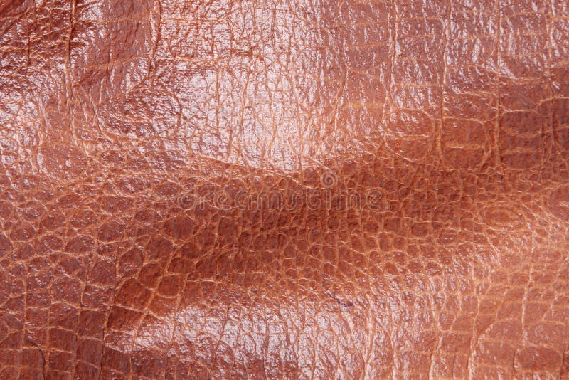 Leather Picture. Image 17283288