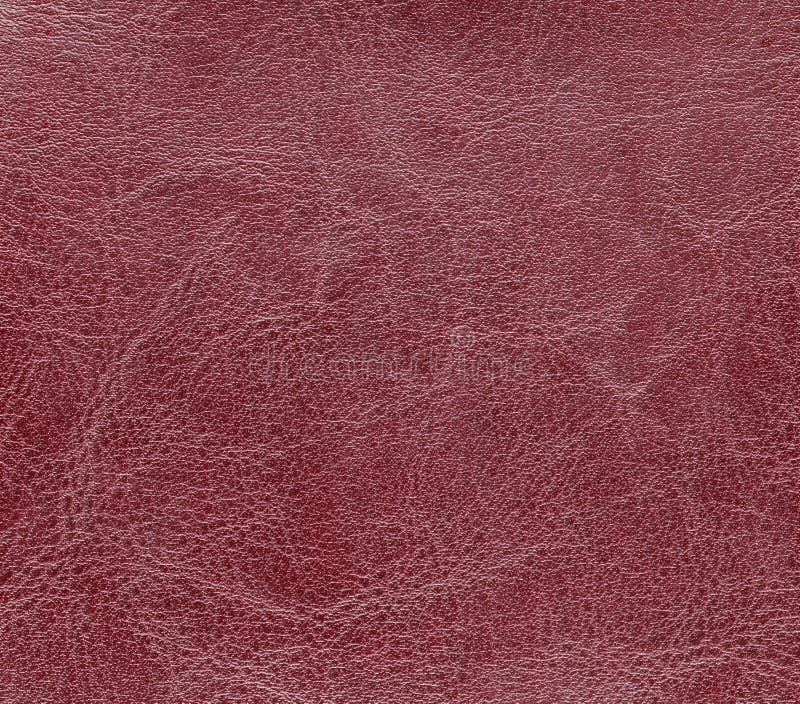 Leather. Artificial Leather. Textured Surface of Artificial or Natural