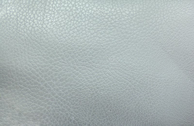 Leather background. Abstract animal skin stock photography